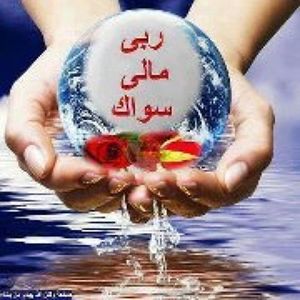 Meet your Posher, Basima